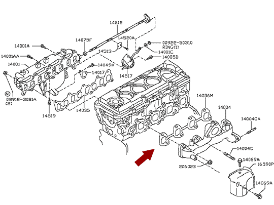 Прокладка выпускного коллектора NISSAN CABSTAR (Ниссан Кабстар) F24, дв. ZD30DDTI, 14036VC300, оригинал На схеме показано размещение прокладки выпускного коллектора NISSAN CABSTAR F24, дв. ZD30DDTI, 14036VC300, оригинал